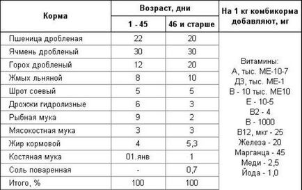 Kuchinskaya jubileumi csirke fajta, leírás, fényképek és videók, az étrend és tenyésztési csirkék