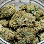 Marijuana - clinica de tratament medicamentos