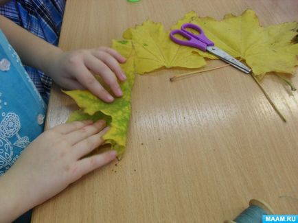 Майстер-клас виготовлення виробів своїми руками з осіннього листя «осінній букет»