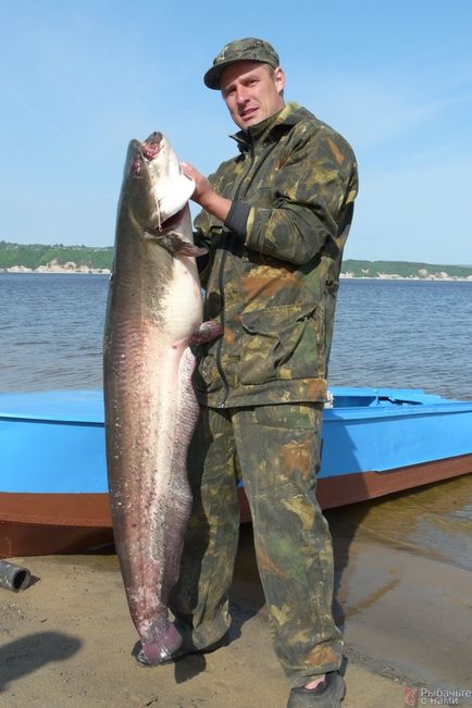 Мій водний вітрило