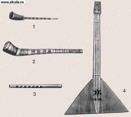 Instrumente muzicale encyclopedia bse