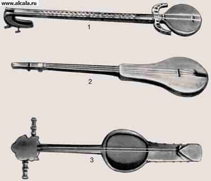 Instrumente muzicale encyclopedia bse