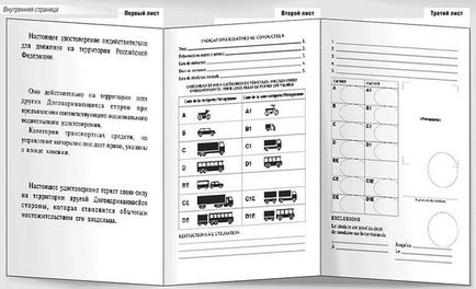 На авто у відпустку пакет документів для в'їзду в євросоюз