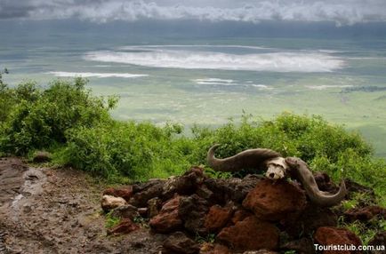 Національні парки і заповідники в Танзанії - активний відпочинок