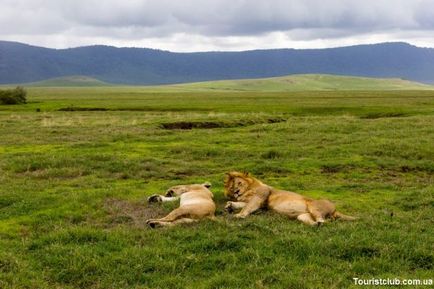 Parcurile și rezervațiile naționale din Tanzania - odihnă activă