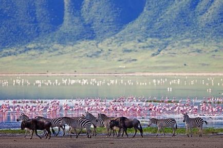 Ngorongoro Nemzeti Park