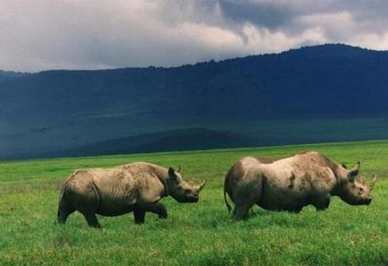 Ngorongoro Nemzeti Park
