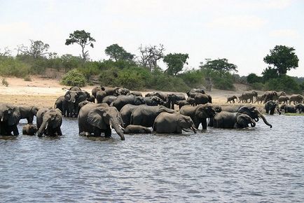 Parcul Național Ngorongoro