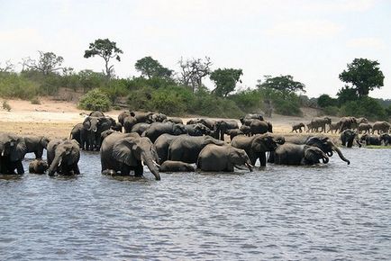 Ngorongoro Nemzeti Park