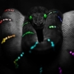 Загальний гороскоп для скорпіонів на 2013 рік - рік чорної водяній змії