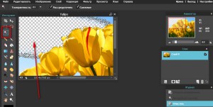 Онлайн редактор pixlr editor урок 2 - видалення фону