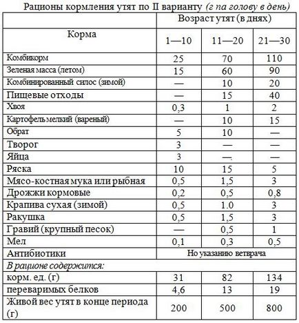 Відгодівлю каченят на м'ясо, як годувати каченят