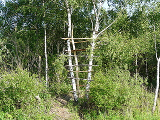 Hunting tower, akik szeretik az épület egy népszerű fegyver