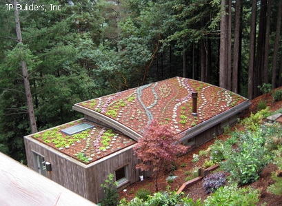Amenajarea acoperișurilor ca mod spectaculos de design peisagistic