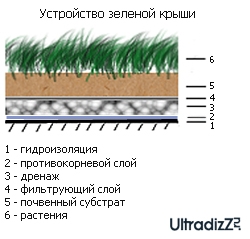 Озеленення дахів як ефектний спосіб ландшафтного дизайну