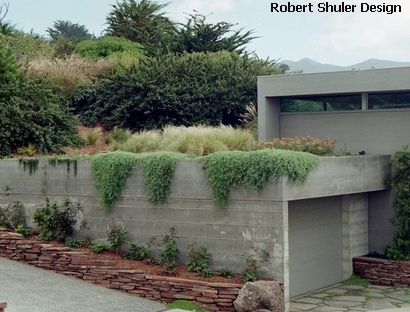 Озеленення дахів як ефектний спосіб ландшафтного дизайну