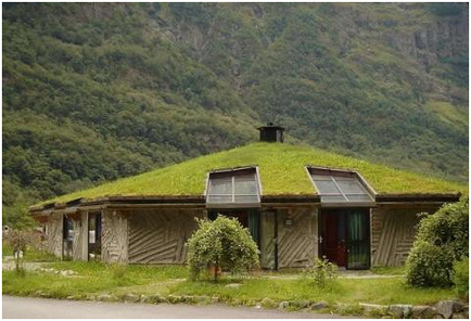 Amenajarea acoperișului ca metodă de proiectare peisagistică a sitului
