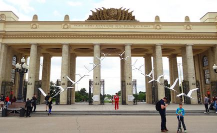 Парк гіркого і не нудний сад, враження