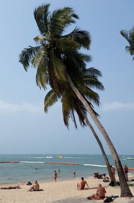 Pattaya sau Koh Samui unde să mergem în Thailanda, sunt în Tae!