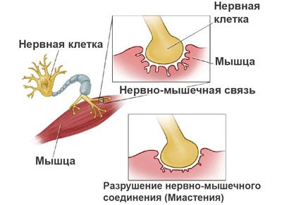 Передозування новопассіта симптоми і наслідки