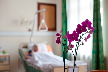 Fordítása betegek otthoni hospice - ha minden simán megy Relief Fund hospice „hit” Segélyhivatala