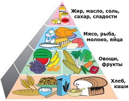 Харчова піраміда правильного харчування головні акценти