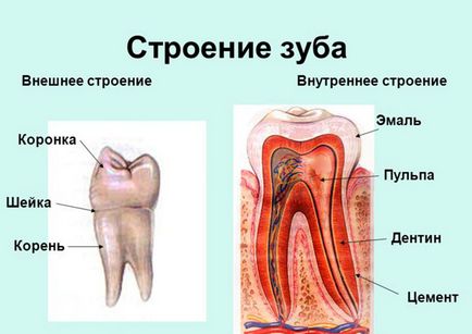 Чому руйнуються зуби у чоловіків і жінок