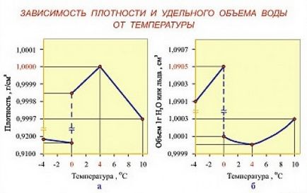 Чому вода в ополонці тепла