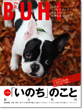 Чому в Японії немає бездомних собак