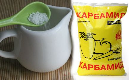 Capsuni de hrănire cu cenușă, iod, uree (iod) Capsuni de hrănire cu cenușă, iod, uree