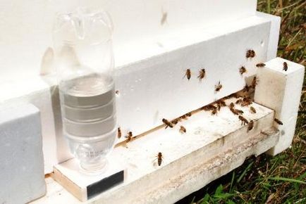 Поїлка для бджіл як зробити своїми руками з пляшки і дошки