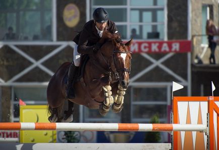 Revizuirea completă a rasei calului Trakehner cu fotografii ale reprezentanților și videoclipurilor