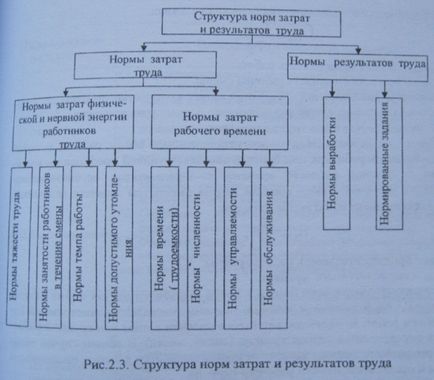 Поняття норми праці і її складових