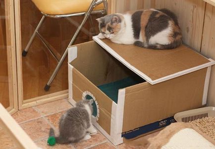 Покрокова інструкція, як зробити будиночок для кішки своїми руками, креслення і фото - як зробити в