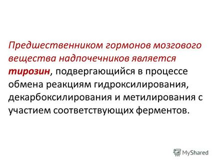 Презентація на тему гормони термін гормон (від грец