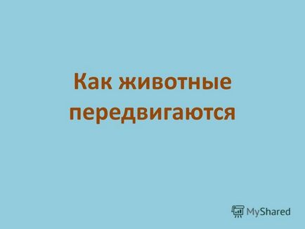 Презентація на тему як тварини пересуваються