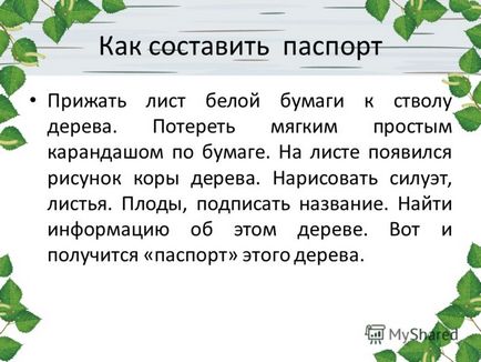 Prezentare pe tema proiectului științific și de informare privind pașaportul arborelui 2-a-clasa mo sosh 1 g