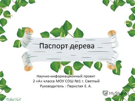 Презентація на тему паспорт дерева науково-інформаційний проект 2 - а - класу МОУ сош 1 г