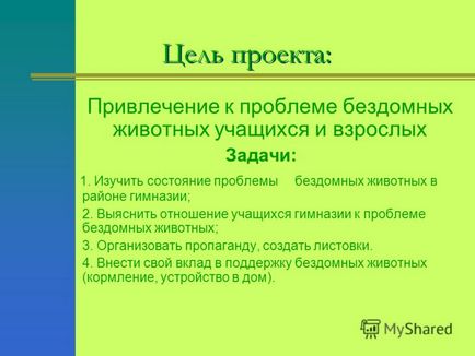 Prezentare pe proiect - animale fără adăpost - problema tuturor -