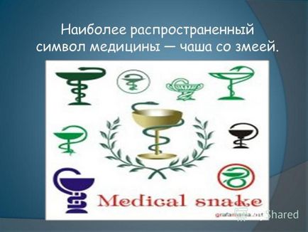 Prezentarea pe tema emblemei și simbolurilor medicinii Departamentul de Limbă Latină Facultatea de Stomatologie