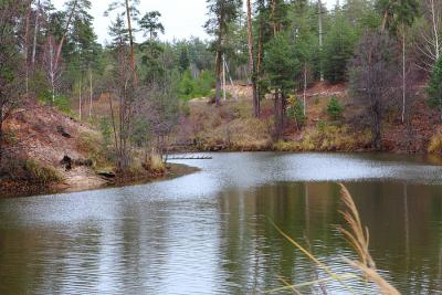 Nature, növények és állatok Csuvasföld (növények) Természet, növények és állatok Chuvashia