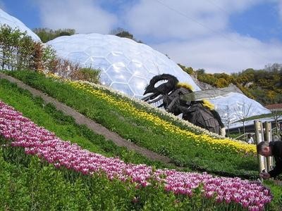 Проект едем (або райський сад), оранжерея