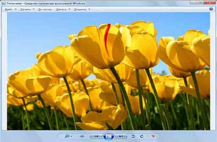 Program pentru vizualizarea fotografiilor în Windows 7