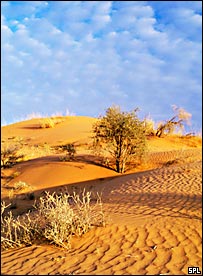 Deserturi din Africa - Sahara, Namib, Kalahari