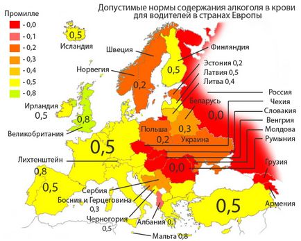 Дозволена доза алкоголю за кермом як не позбутися прав