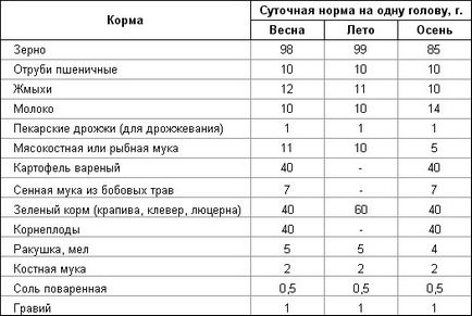 Tenyésztési csirkék elővárosi parcellákon a garázsban Videó