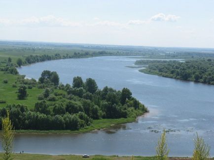 Pescuitul pe came - totul despre prinderea peștilor