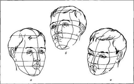 Desenarea capului în funcție de schemele - stadopedia