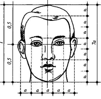 Desenarea capului în funcție de schemele - stadopedia