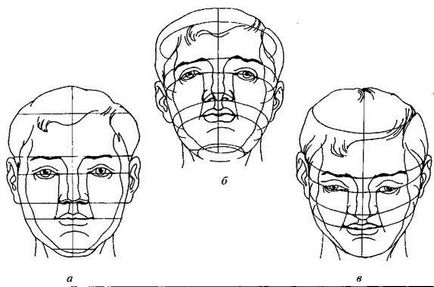 Desenarea capului în funcție de schemele - stadopedia